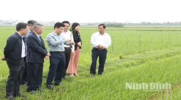 نائب رئيس اللجنة الشعبية يتفقد سير إنتاج المحاصيل الربيعية خلال جولة ميدانية